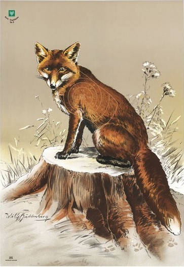 Fuchs