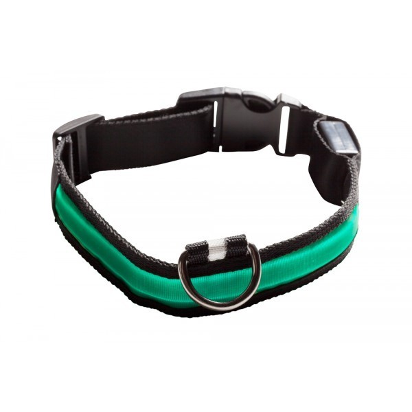 Leuchthalsband LED grün