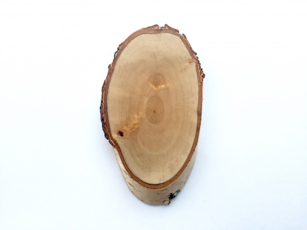 Birkenenschild für Rehtrophäen mit Kieferfach