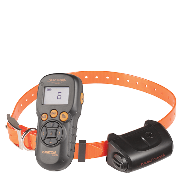 Canicom unauffälliger Fern- &amp; Nahtrainer