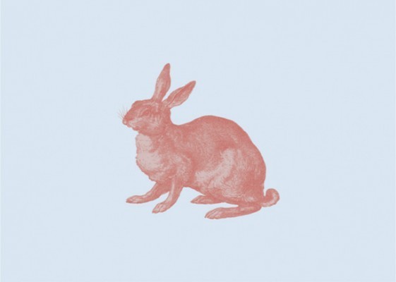 Postkarte Hase