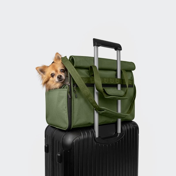 Hundeflugtasche AKTIV Olive