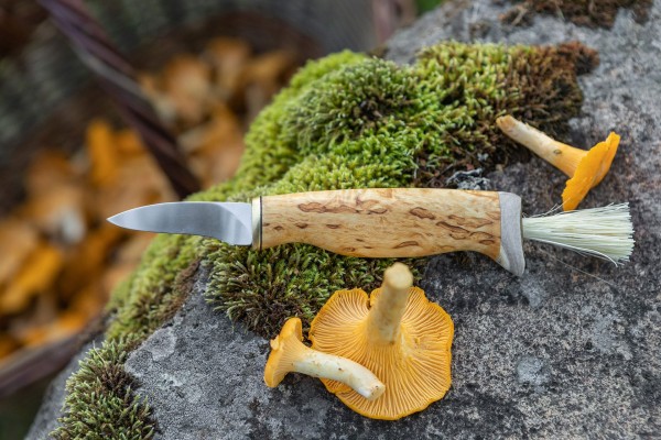 Pilz-Messer / Mushroom Knife