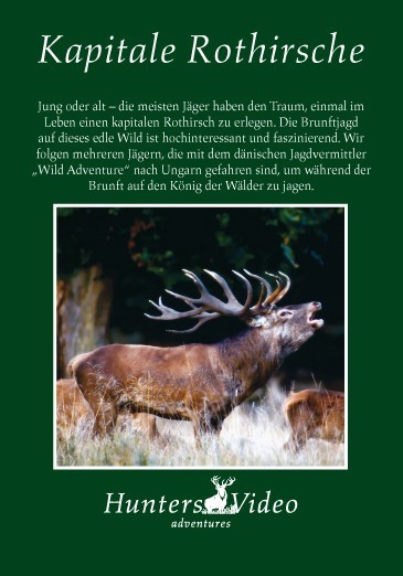 Kapitale Rothirsche