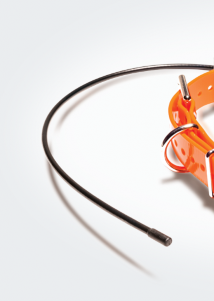 Ersatzantenne zu Pathfinder-Halsband