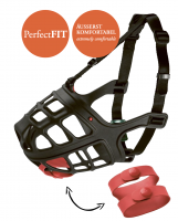 Maulkorb Albury mit Giftköder-Schutz Maulkorb Albury mit Giftköder-Schutz