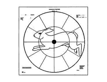 Schrotscheibe Hase