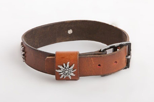 Hundehalsband, Original CH-Armee Ceinturon (gebraucht) mit Edelweissbesatz