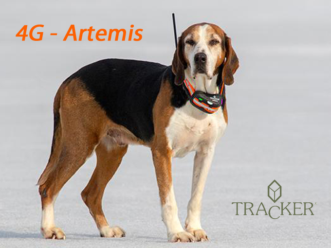 Artemis_NEWS