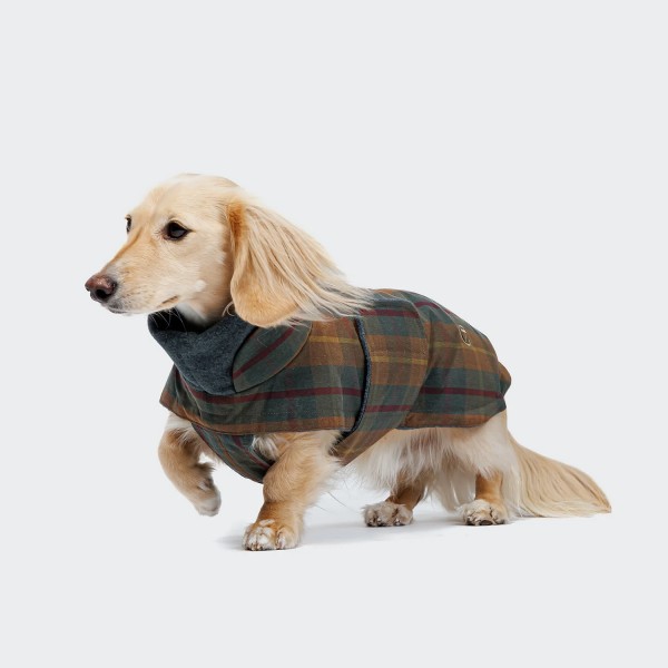 Hundemantel Dackel Brooklyn Waxed Tartan