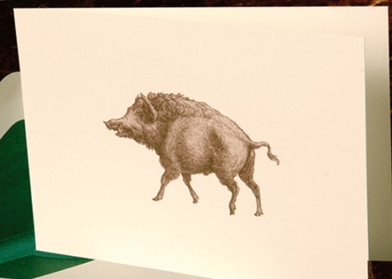 Klappkarte Wildsau