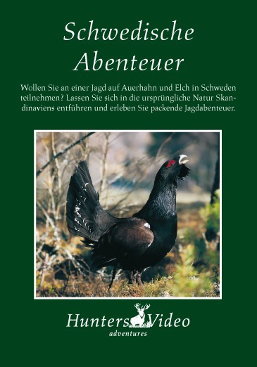Schwedische Abenteuer