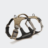 Y—SAFE AKTIV Y—SAFE AKTIV